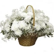 Блеск софитов Блеск софитов